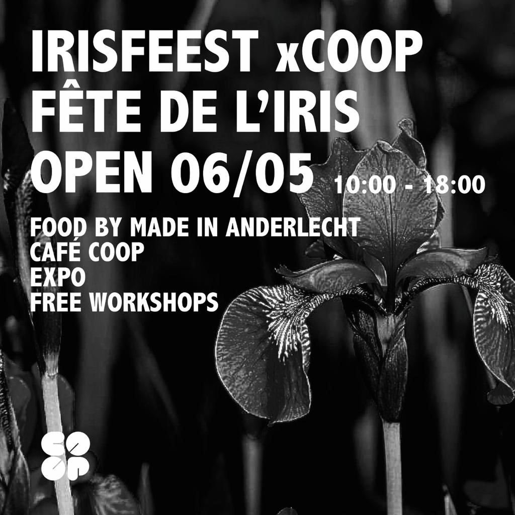 Coop Cin Une Programmation Unique coop-cin-une-programmation-unique